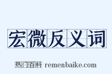 宏微反义词是什么意思的图片